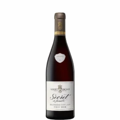 Bourgogne Cote D'Or Pinot Noir 'Secret De Famille' , Albert Bichot, 2022
